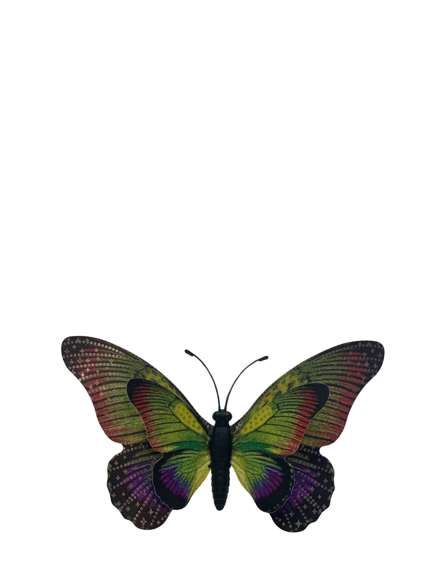 Butterfly Refrigerator Magnets