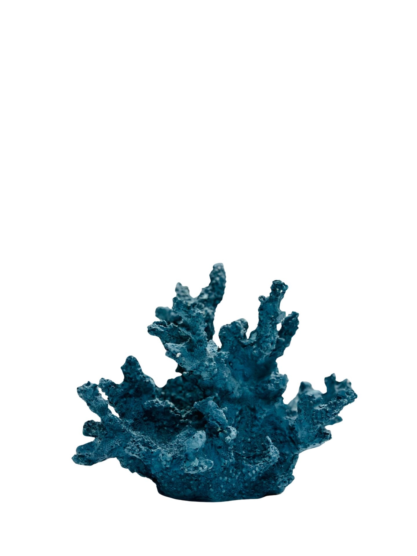 Blue Coral Decorative Display