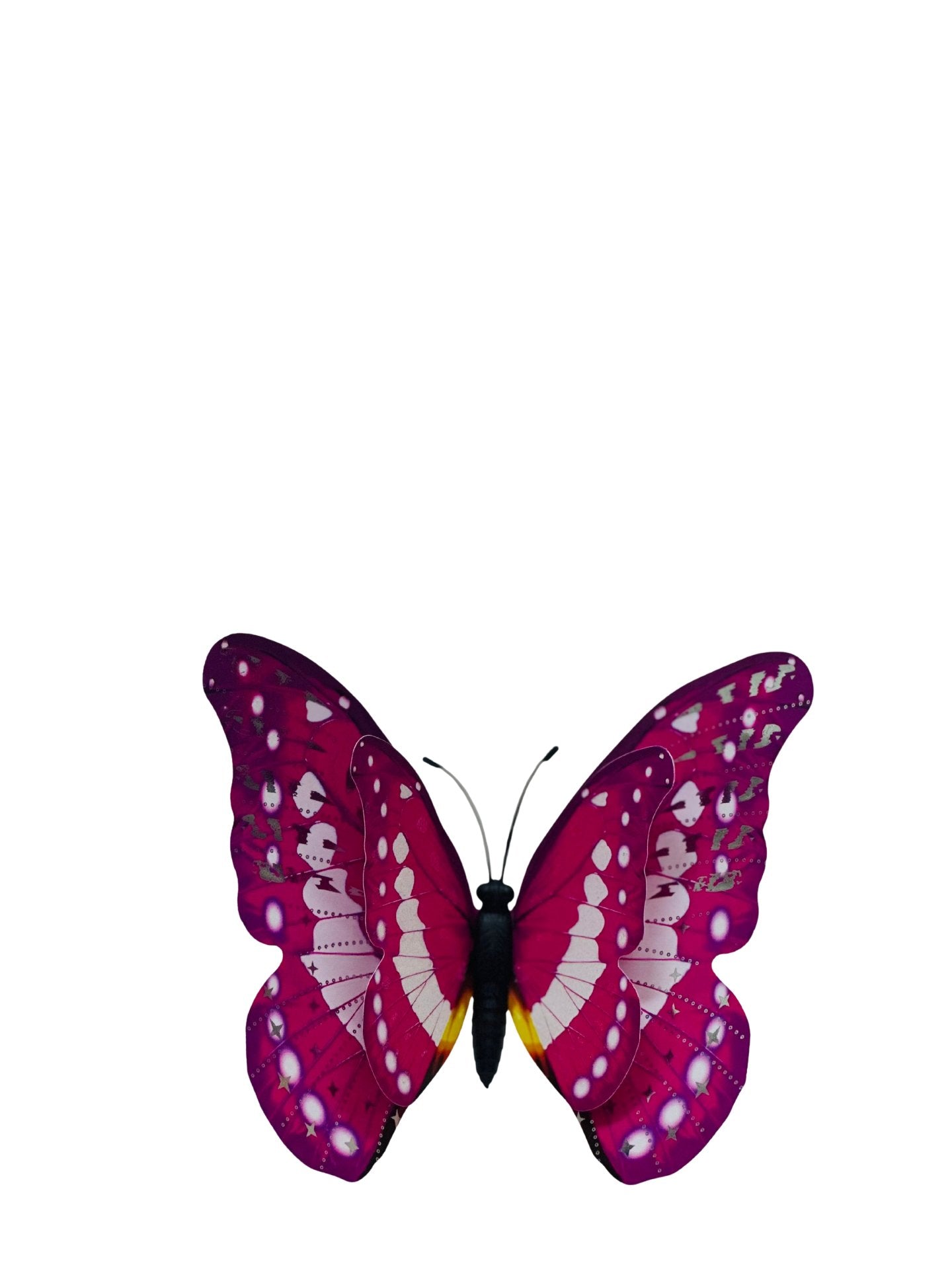 Butterfly Refrigerator Magnets