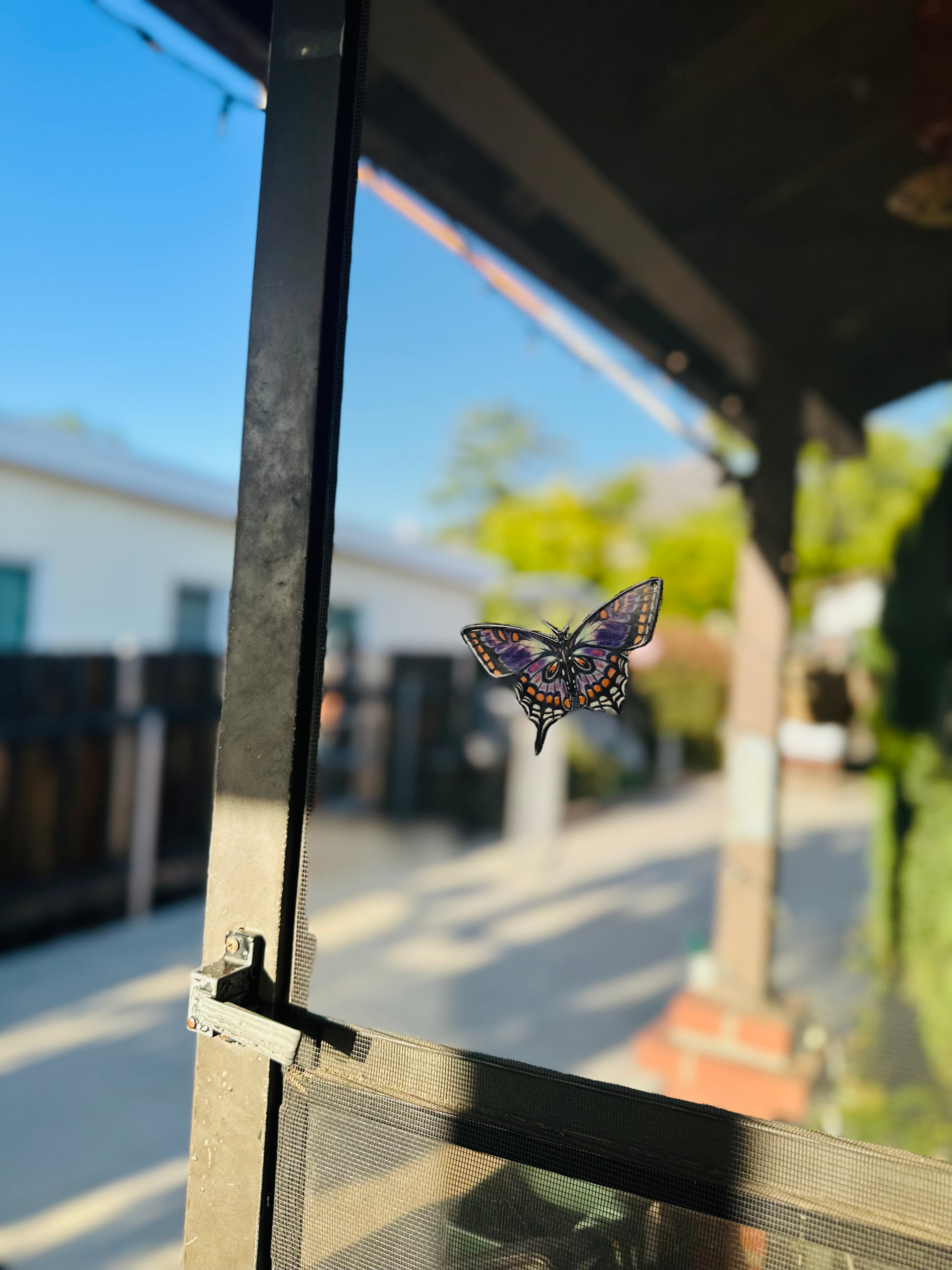 Screen Door Butterfly Magnets