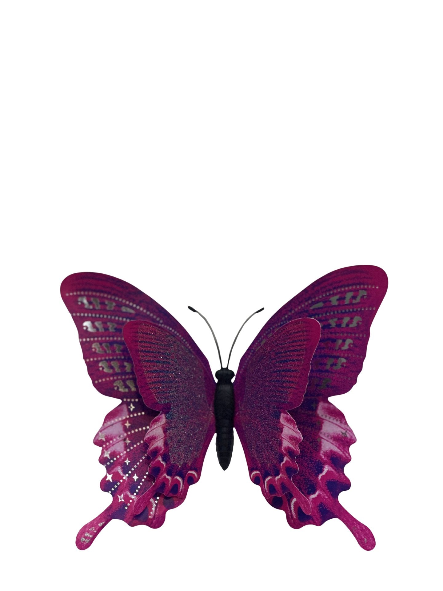 Butterfly Refrigerator Magnets