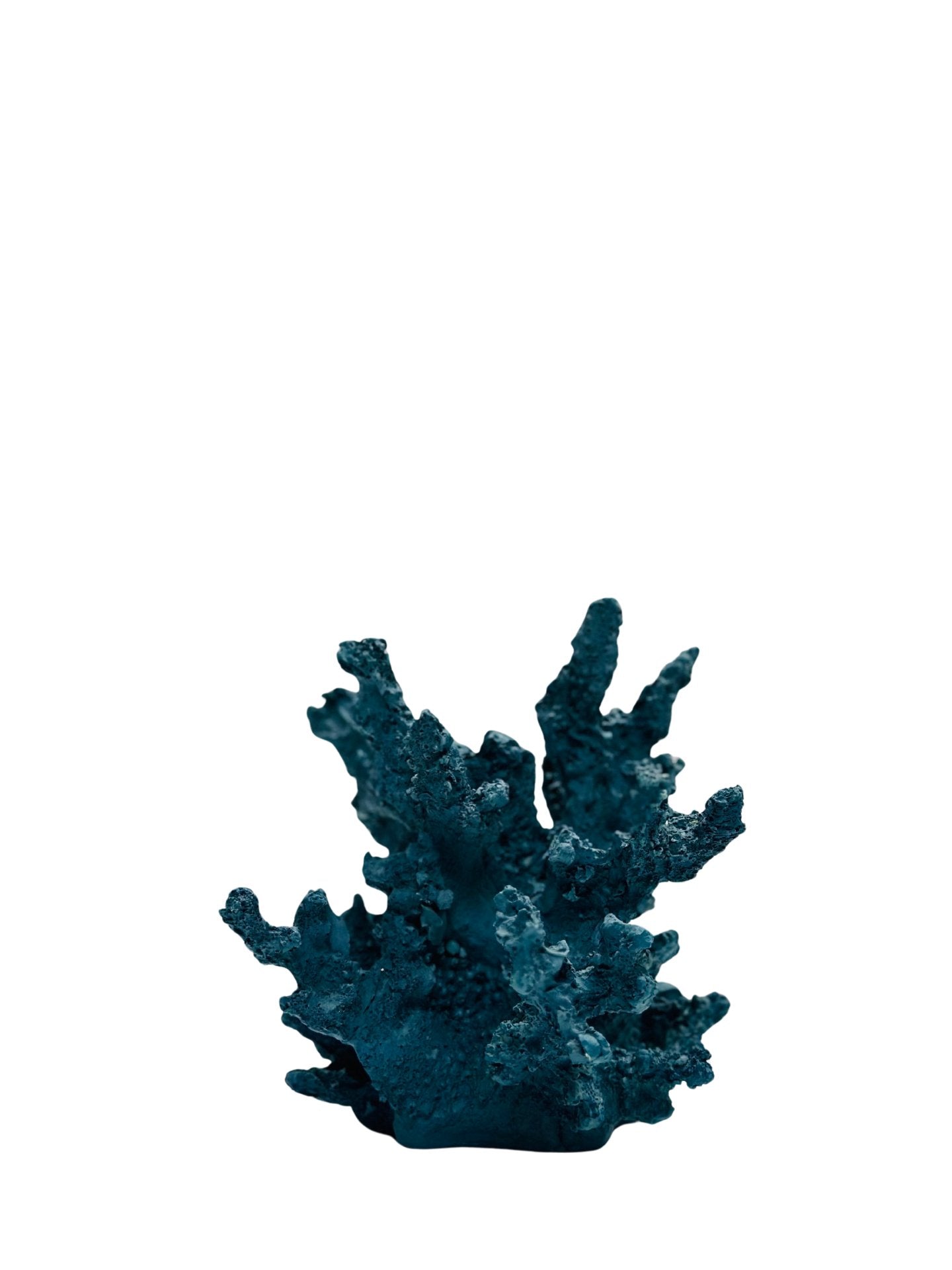 Blue Coral Decorative Display