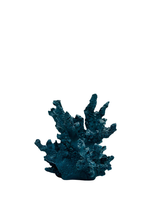 Blue Coral Decorative Display