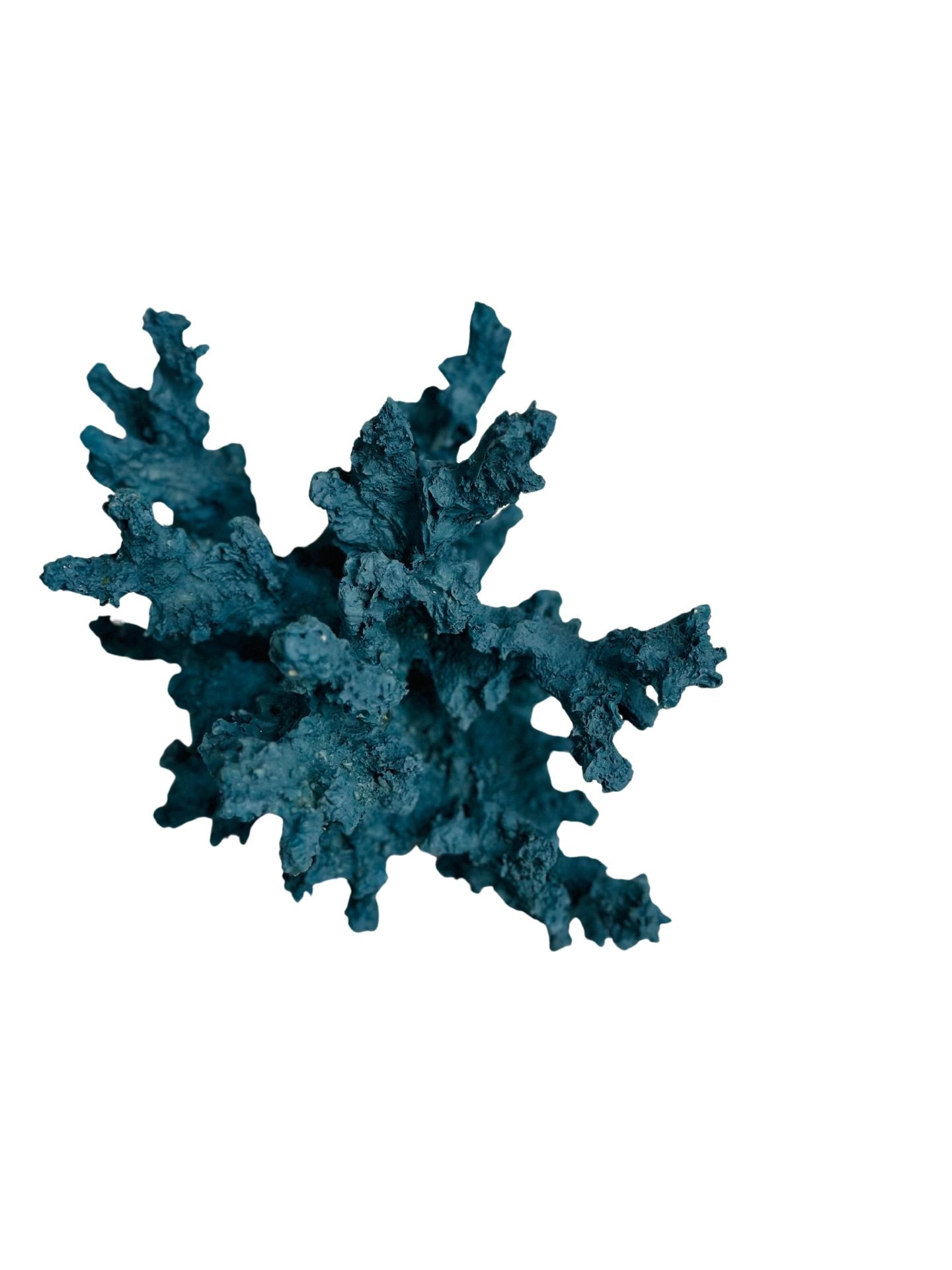 Blue Coral Decorative Display